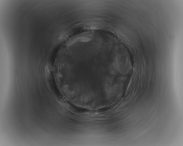 X0000116120747200911231215