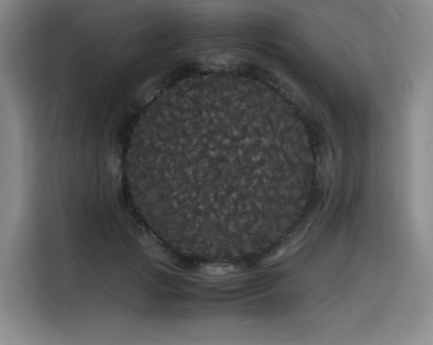 X0000116120749200911231215