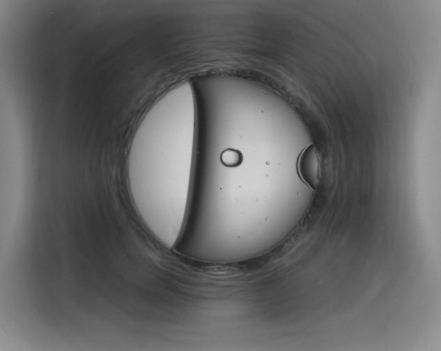 X0000116120750200911231215