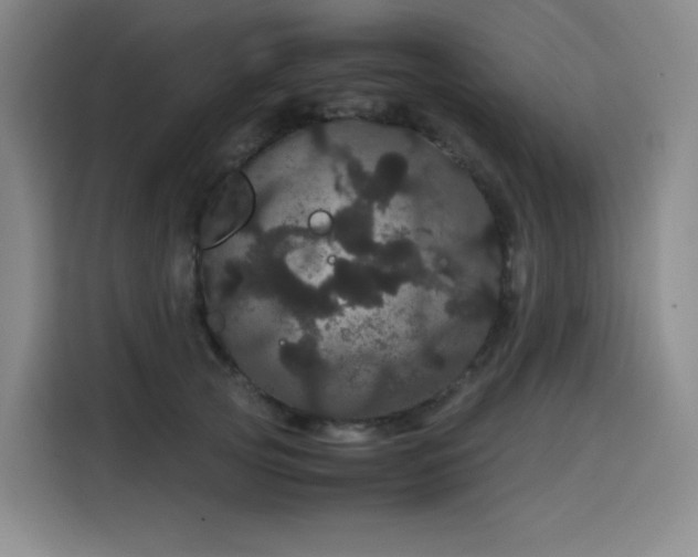 X0000116120753200911231215