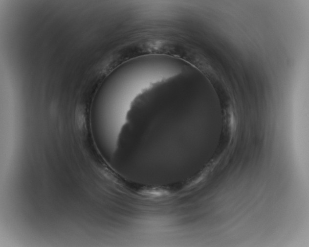 X0000116120754200911231215