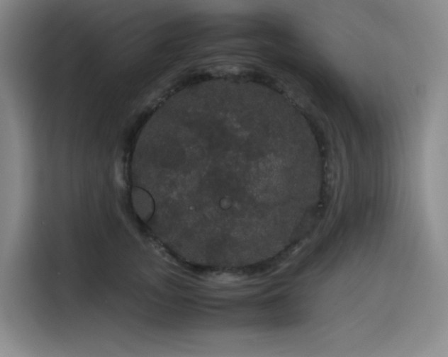 X0000116120755200911231215