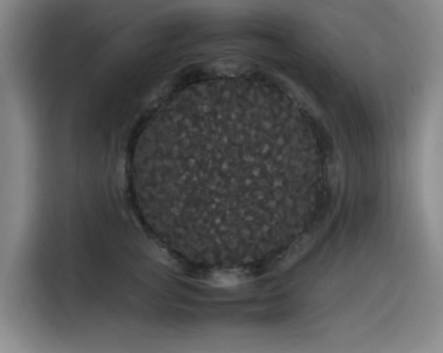 X0000116120757200911231215