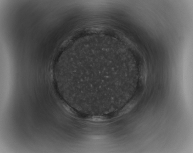 X0000116120758200911231215