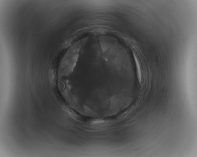 X0000116120759200911231215