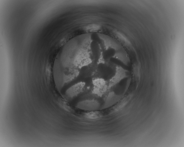 X0000116120761200911231215