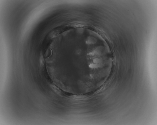 X0000116120763200911231215