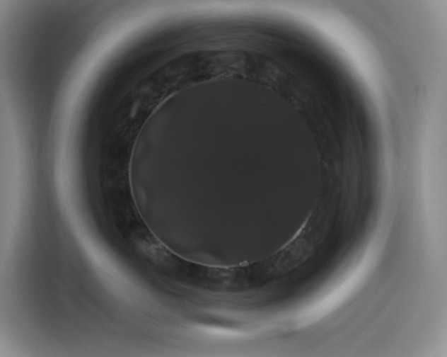 X0000116120767200911231215