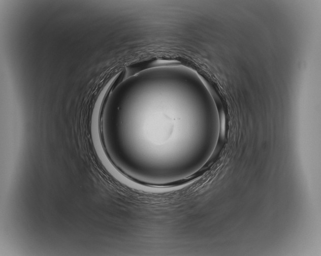 X0000116120769200911231214