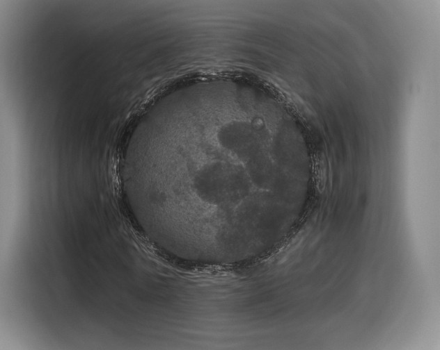 X0000116120770200911231214