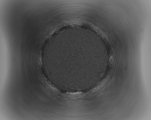 X0000116120772200911231214