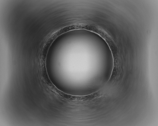 X0000116120773200911231214