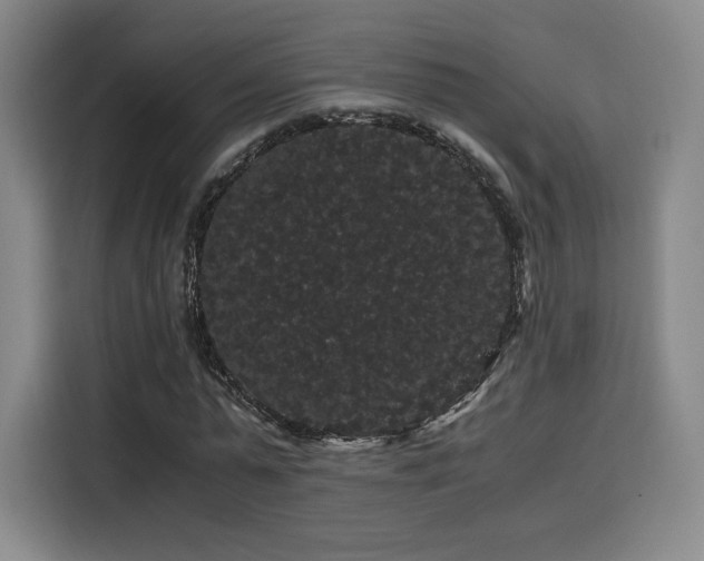 X0000116120775200911231214