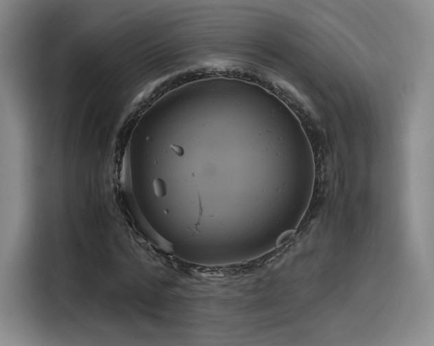 X0000116120776200911231214