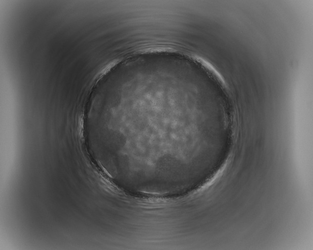 X0000116120777200911231214