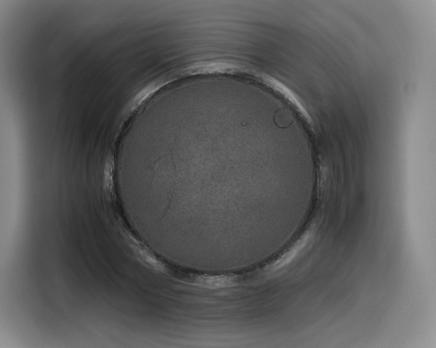 X0000116120778200911231214