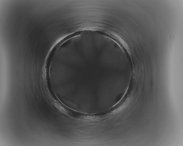 X0000116120779200911231214