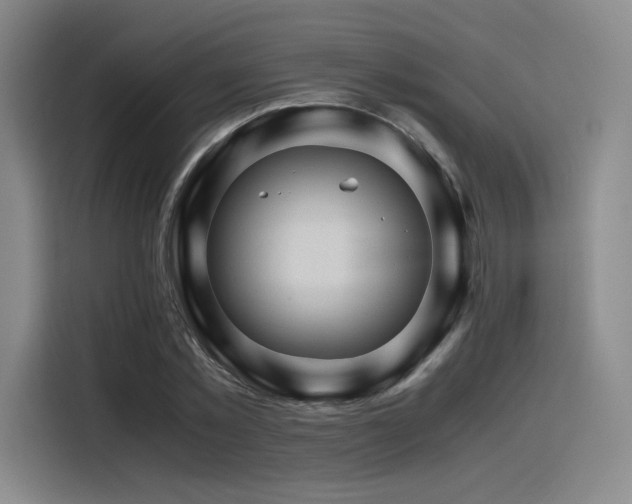 X0000116120781200911231214