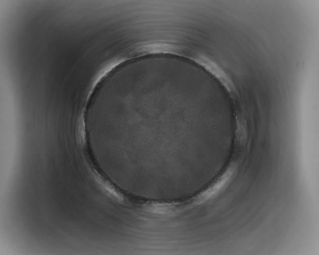 X0000116120782200911231214