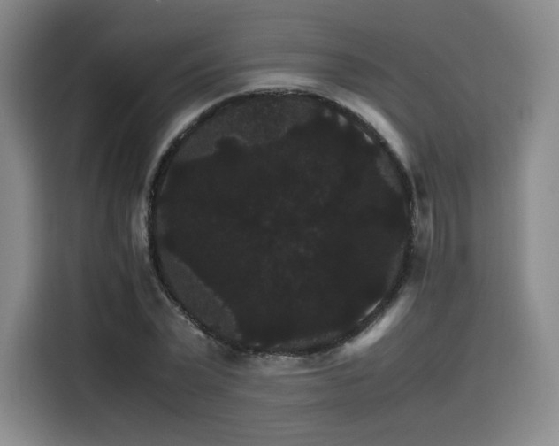 X0000116120783200911231214