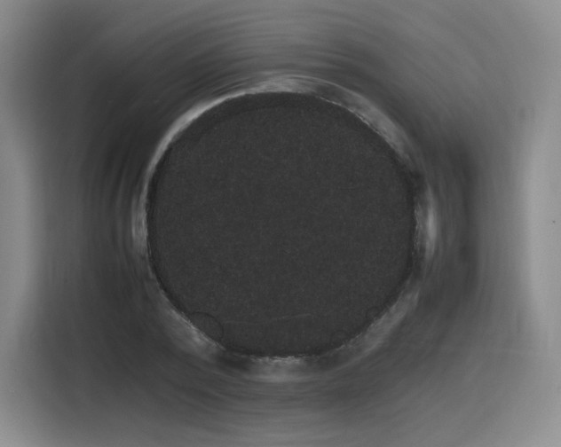 X0000116120784200911231214