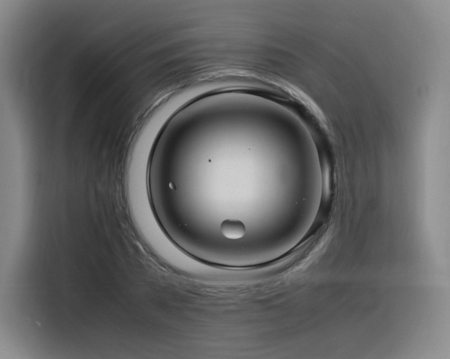 X0000116120785200911231214