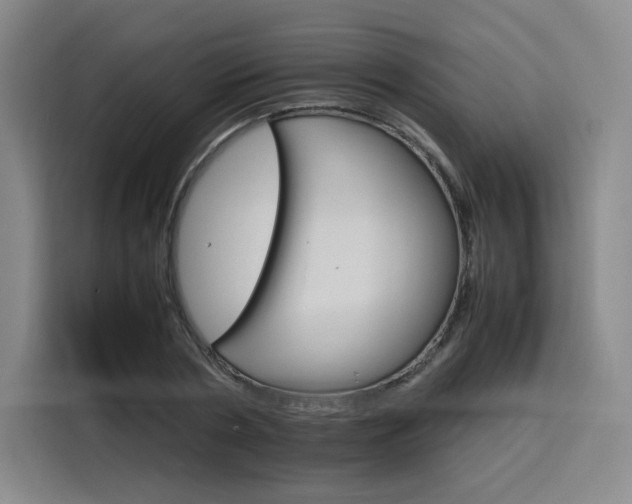 X0000116120786200911231214