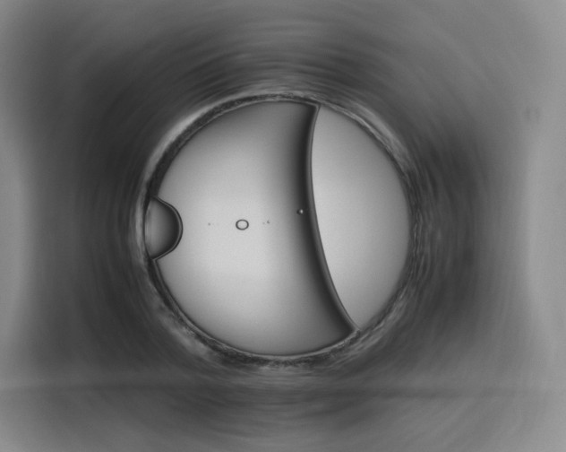 X0000116120788200911231214