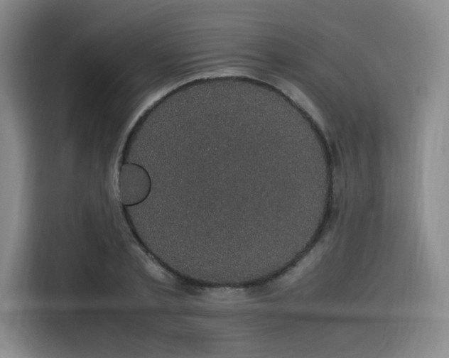 X0000116120789200911231214