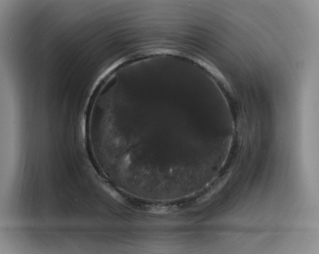 X0000116120790200911231214