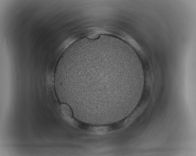 X0000116120793200911231214