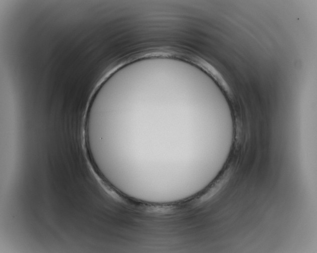 X0000116120802200911231214