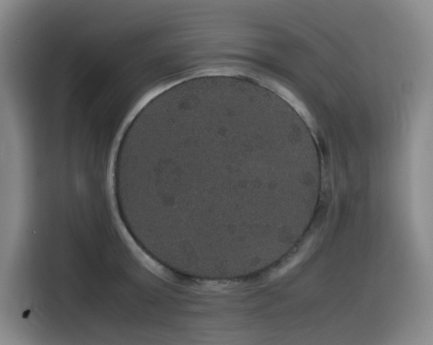 X0000116120803200911231214