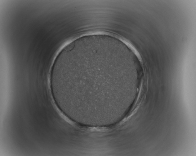 X0000116120805200911231214