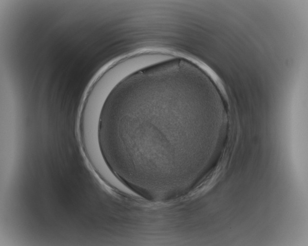 X0000116120807200911231214