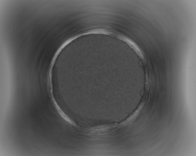 X0000116120808200911231214