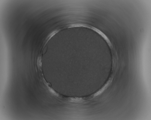 X0000116120809200911231214