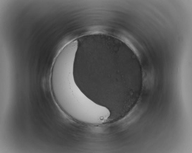 X0000116120810200911231214