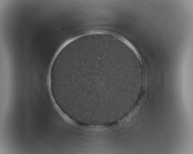 X0000116120811200911231214