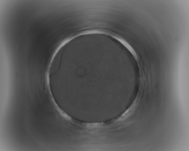 X0000116120813200911231214