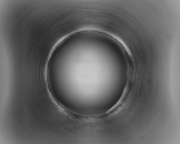 X0000116120815200911231214