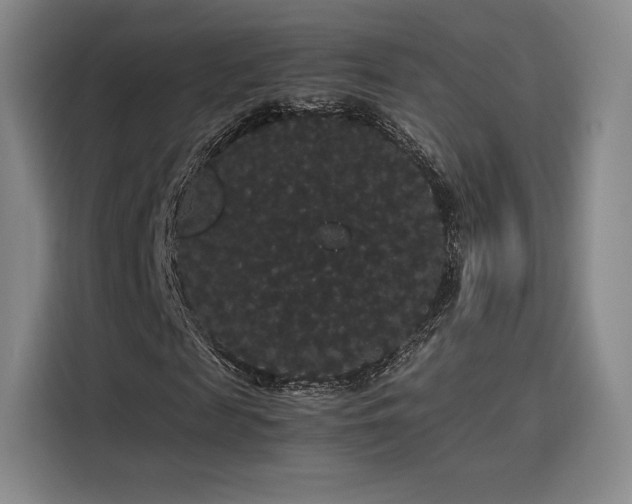 X0000116120817200911231213