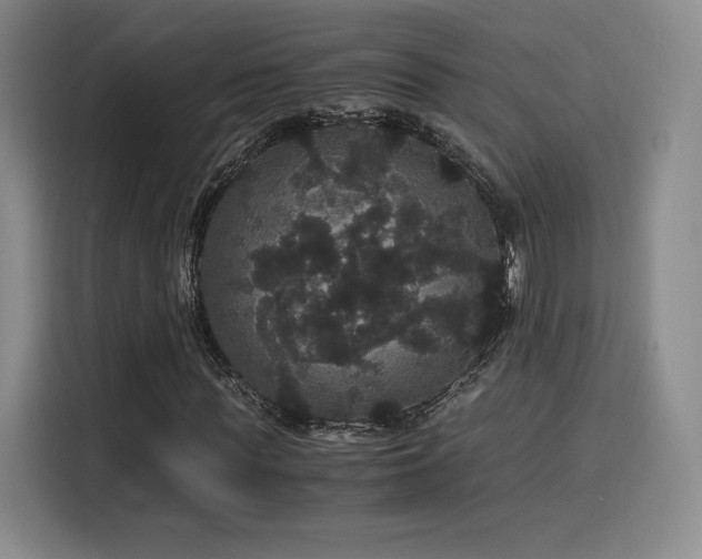 X0000116120819200911231213