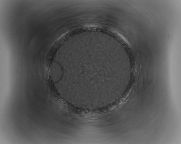 X0000116120821200911231213