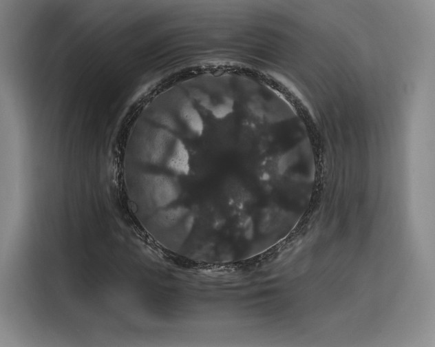 X0000116120823200911231213