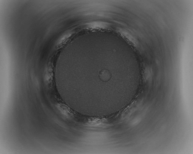 X0000116120824200911231213