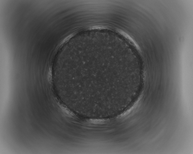 X0000116120825200911231213