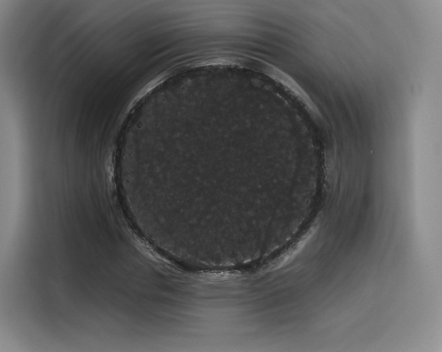 X0000116120826200911231213