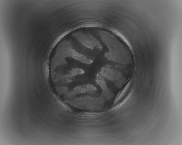 X0000116120829200911231213