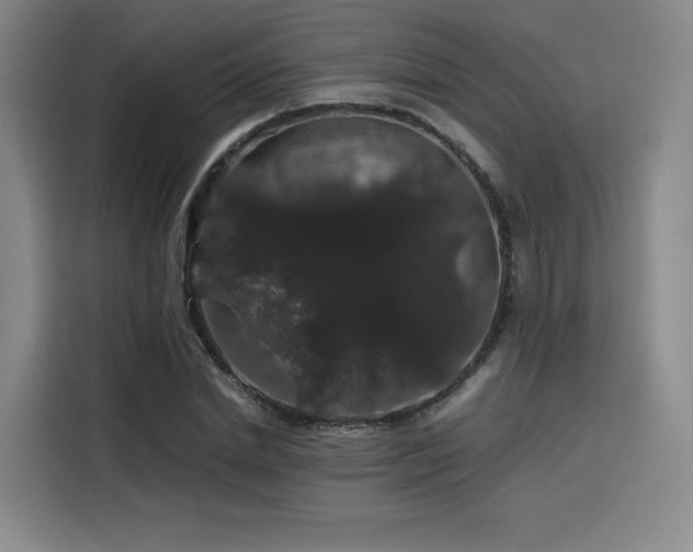 X0000116120830200911231213